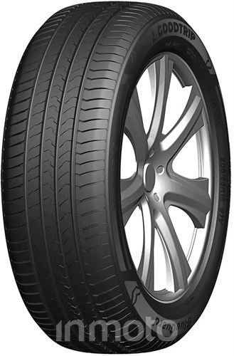 Goodtrip BlueGuard 205/55R16 91 H