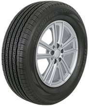 Diamondback DR259 Reifen