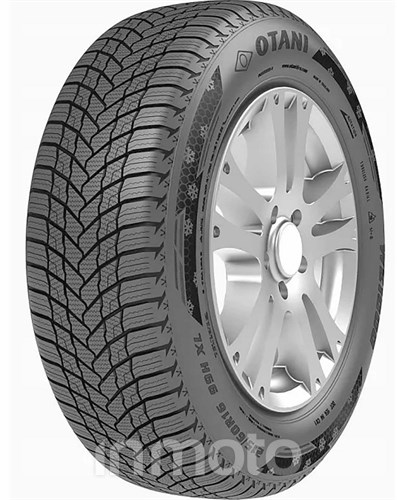 Otani WE1000 195/65R15 91 H