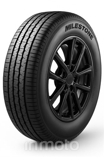 Milestone MZ01V 225/55R17 109/107 T C