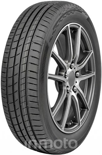 Sunny NU306 255/45R19 104 W XL